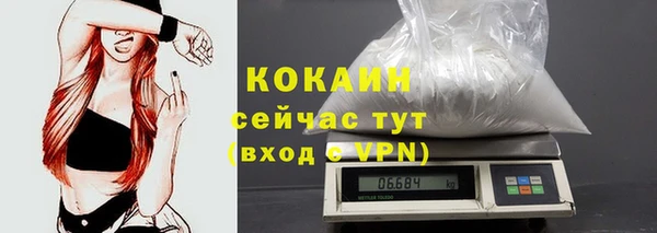 прущие крисы Белокуриха