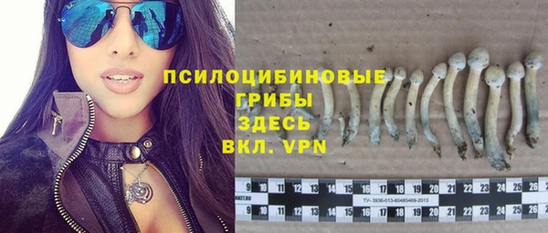 прущие крисы Белокуриха