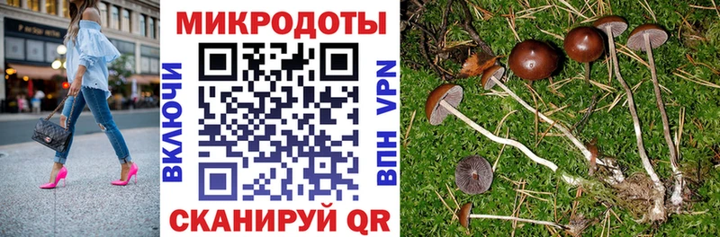 Галлюциногенные грибы ЛСД  как найти наркотики  Нарьян-Мар 